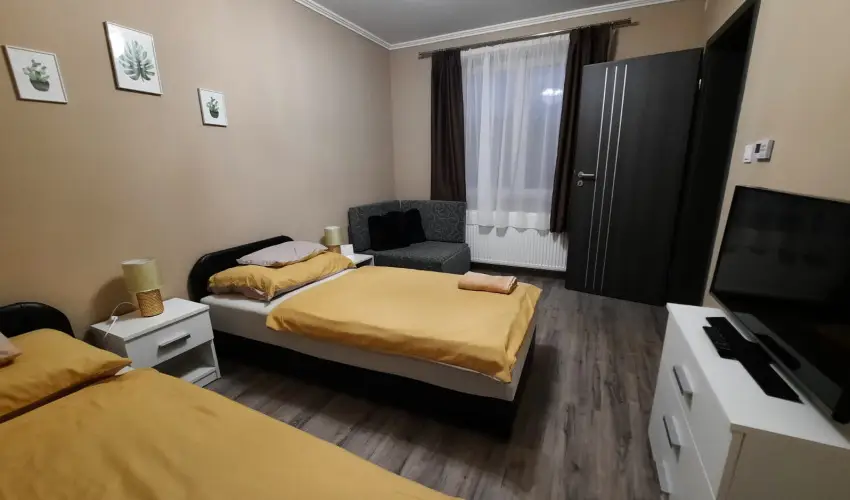 Borostyn Szllshely Debrecen