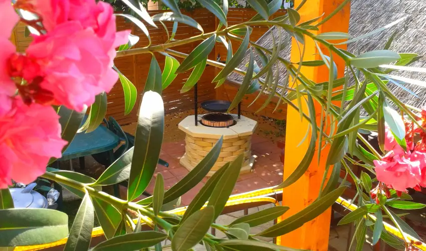 Dek Vendghz Hajdszoboszl