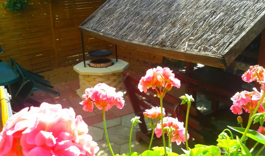 Dek Vendghz Hajdszoboszl