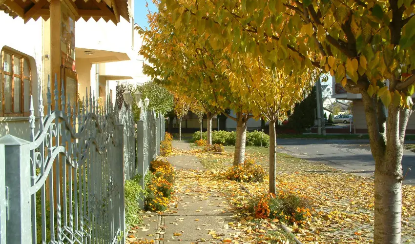 Hajd� Kast�ly Hotel Hajd�szoboszl�