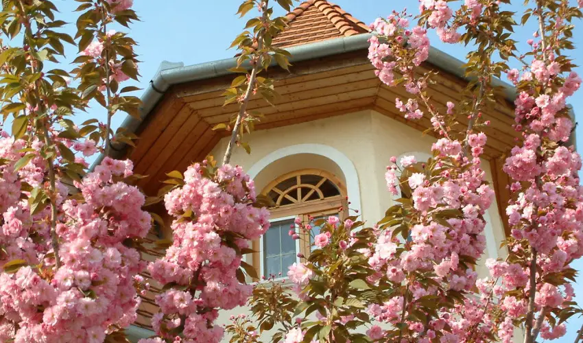 Hajd� Kast�ly Hotel Hajd�szoboszl�