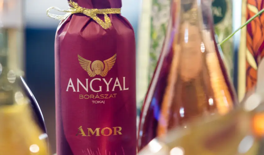 Hotel Aurum Hajdúszoboszló