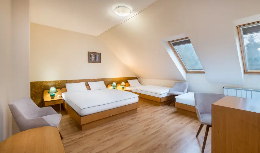 Plat�n Hotel Debrecen Debrecen