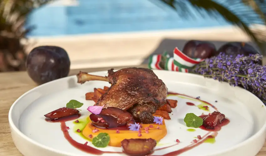 Silver Hotel Hajdúszoboszló