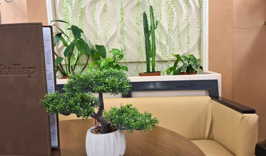 Hungarospa Thermal Hotel Hajdúszoboszló