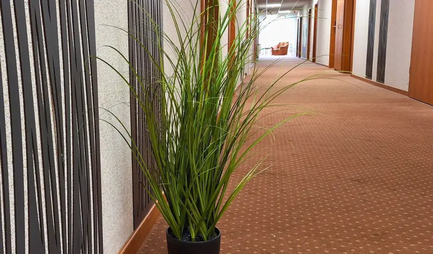 Hungarospa Thermal Hotel Hajdúszoboszló