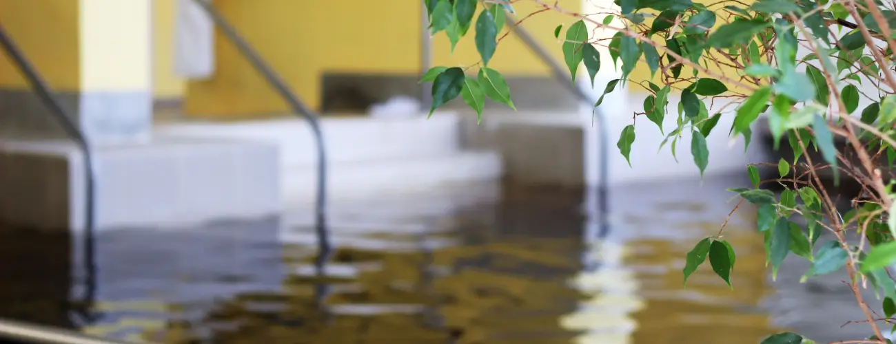 Hotel Hforrs Hajdszoboszl - Mjus 1. (min. 2 j)