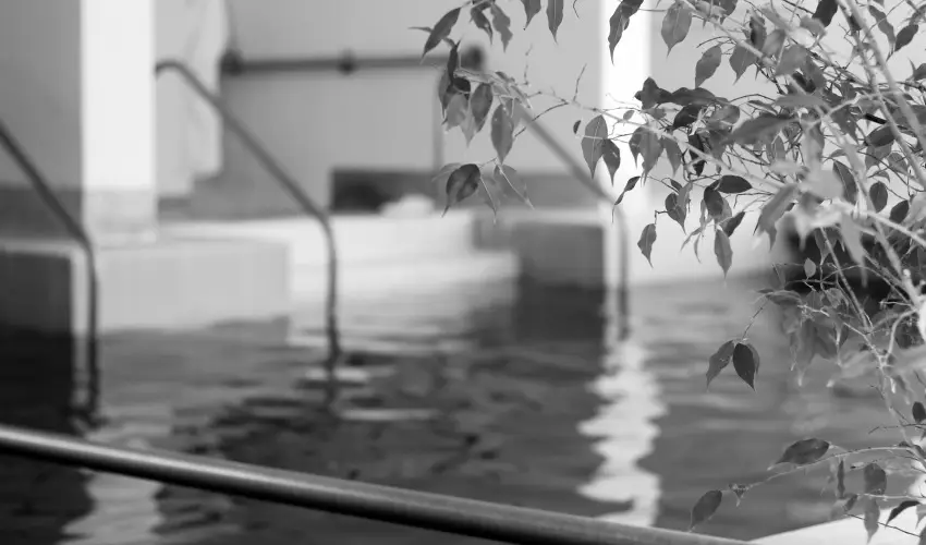 Hotel H�forr�s Hajd�szoboszl�