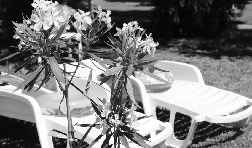 Hotel H�forr�s Hajd�szoboszl�