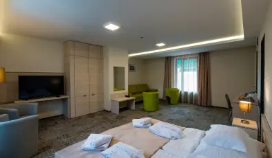 Hotel Kamilla Balmazjvros