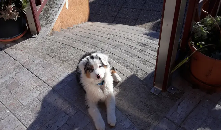 Napsugár Kenézy Lux Apartman Vendégházak Hajdúszoboszló